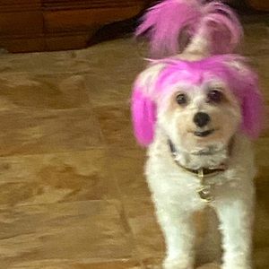 So fashionable  ❤️